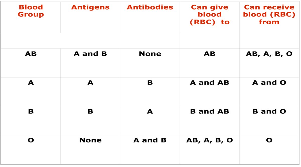 abo blood group test pdf