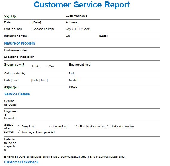 customer service report sample