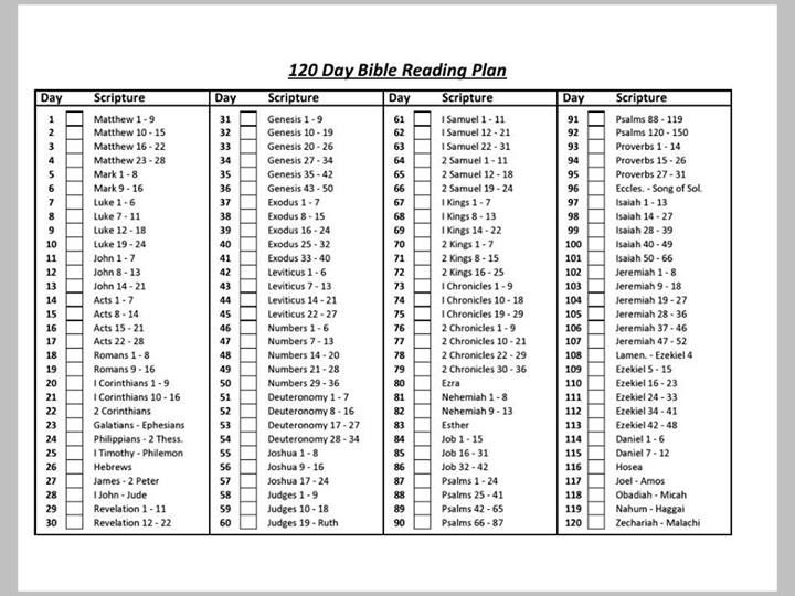 chronological bible reading plan pdf