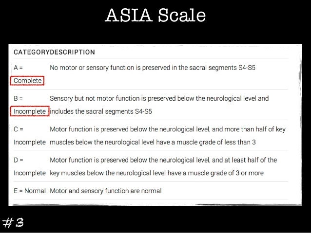 asia scale pdf